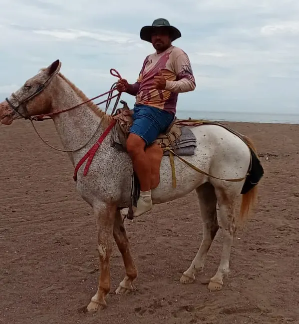 A rider on horseback beside the Pacific Ocean in Jacó