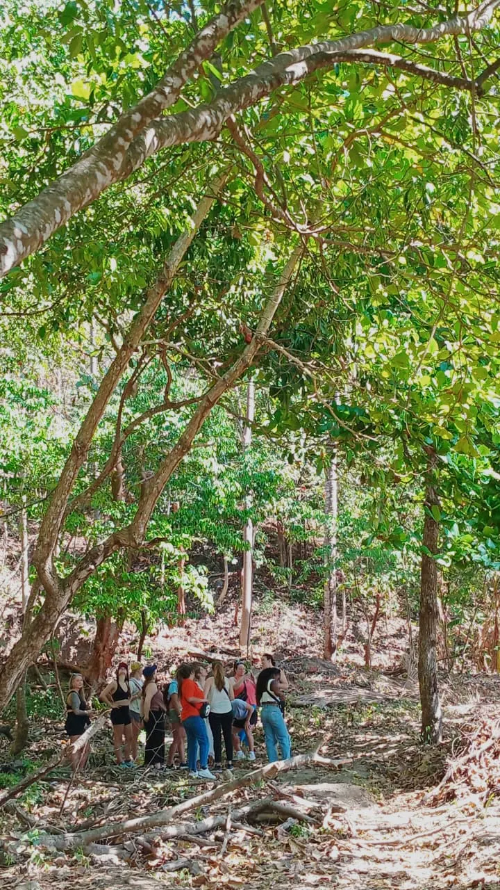Exclusive Jungle Horseback Riding tour in Jacó, Costa Rica