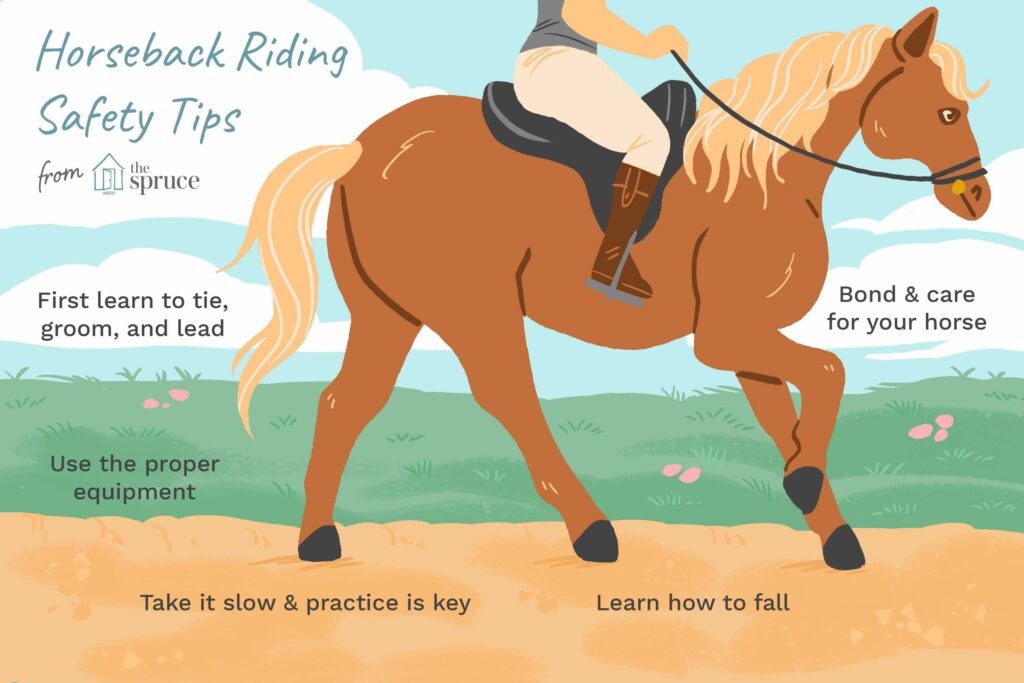 Horseback Riding Tips